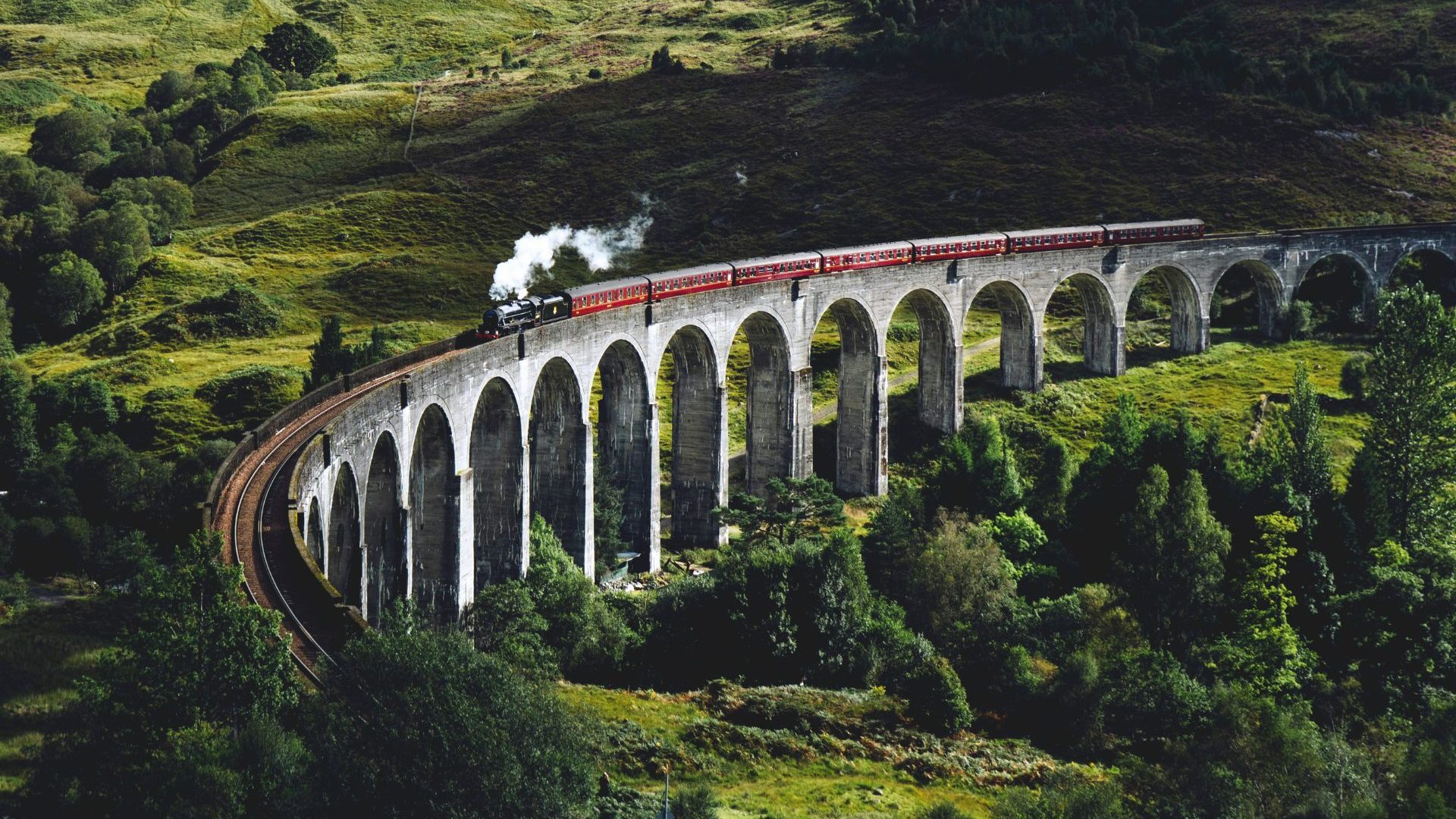 A train crosses green landscape over arched bridge