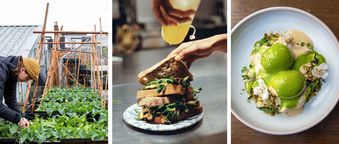 Left: A woman picks salad from a garden. Middle: A hand reaches out to a sandwich packed with fresh ingredients. Right: A dish on a white plate with largely green ingredients of blossoms and leeks.