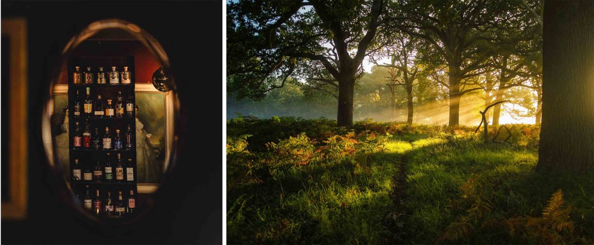 Left: A dimly lit bar with bottles on a shelf. Right: Sun streams through trees in a park.