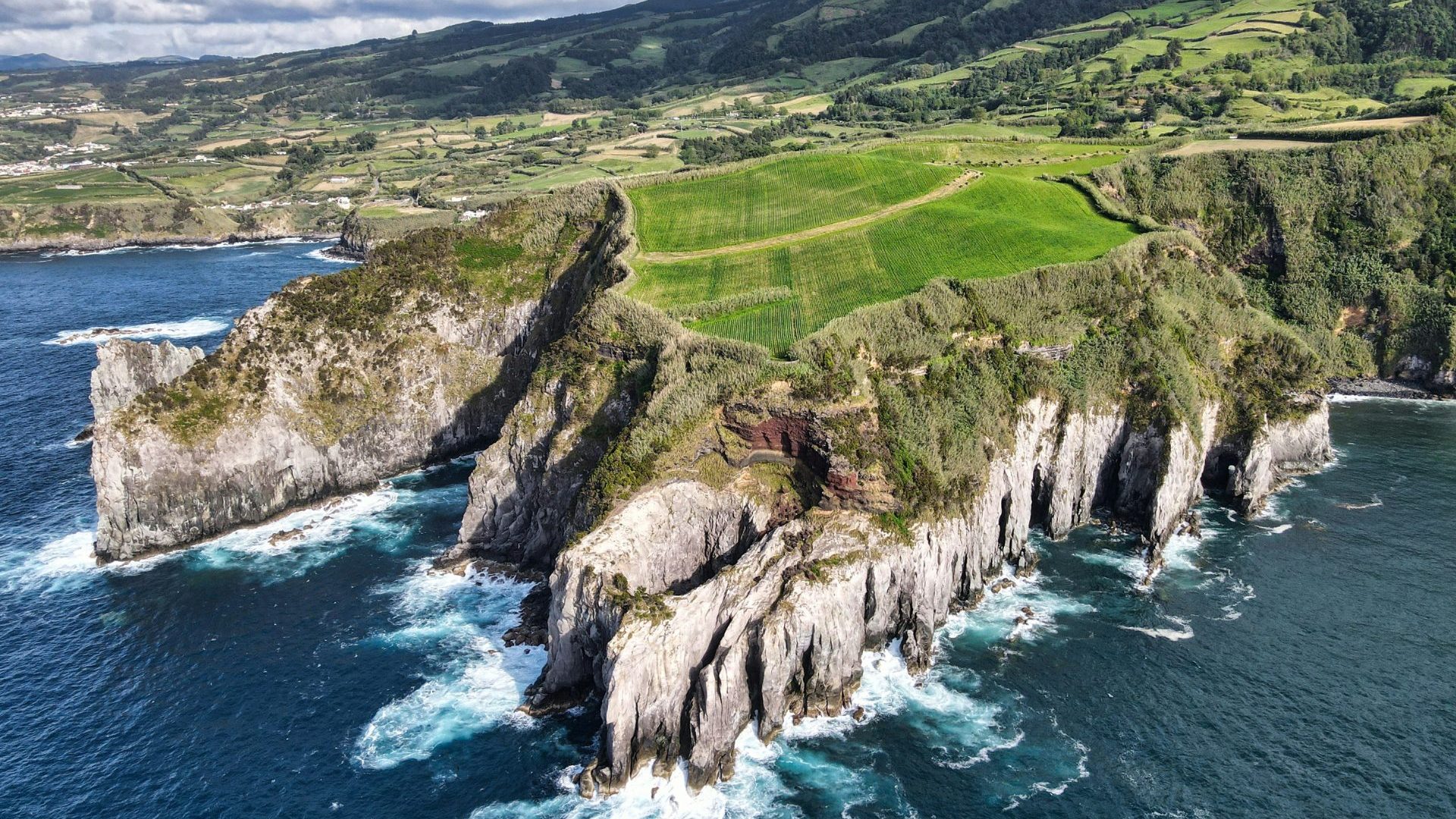 Cliff topped with green, drops into blue water.