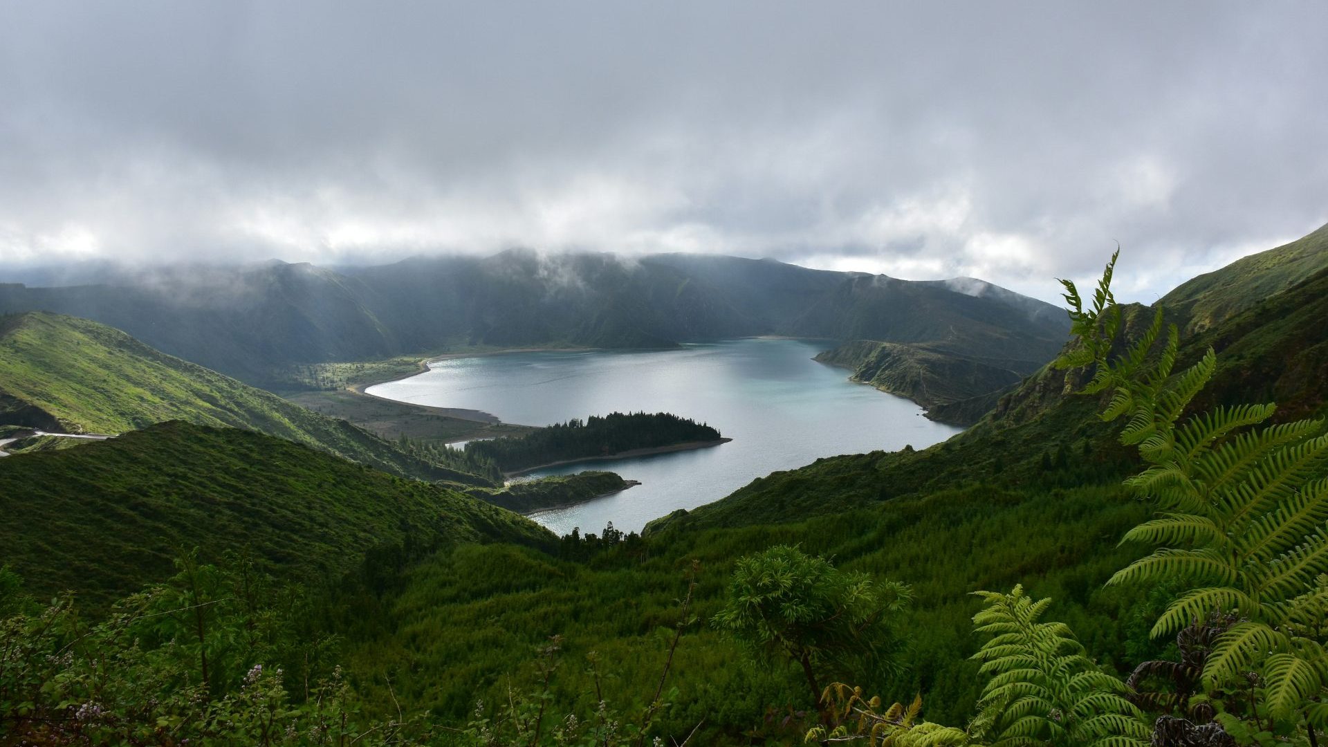 Blue lake surrounded by green ferns.
