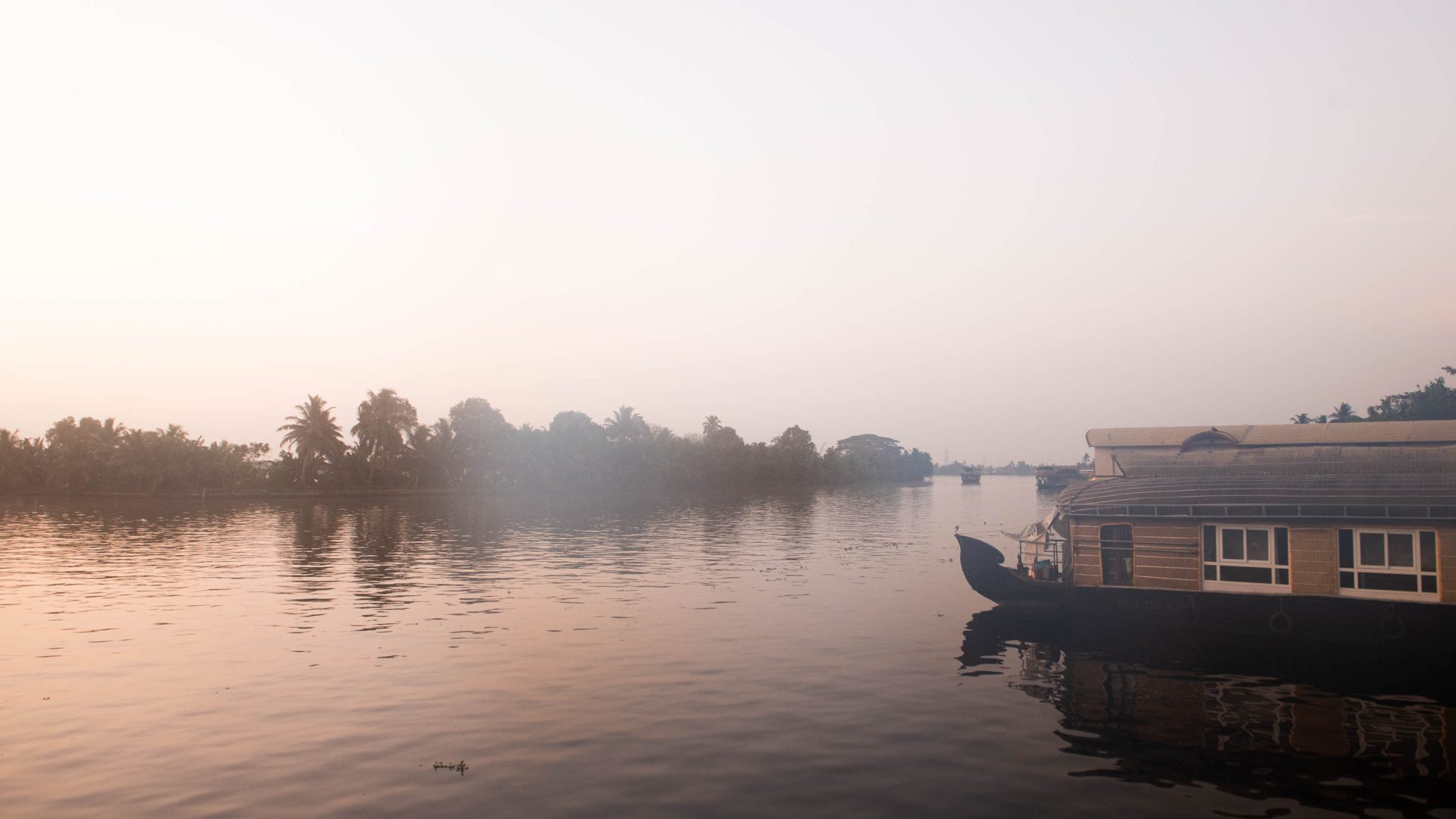 Fog clouds the view of boats and trees in a low lit morning.