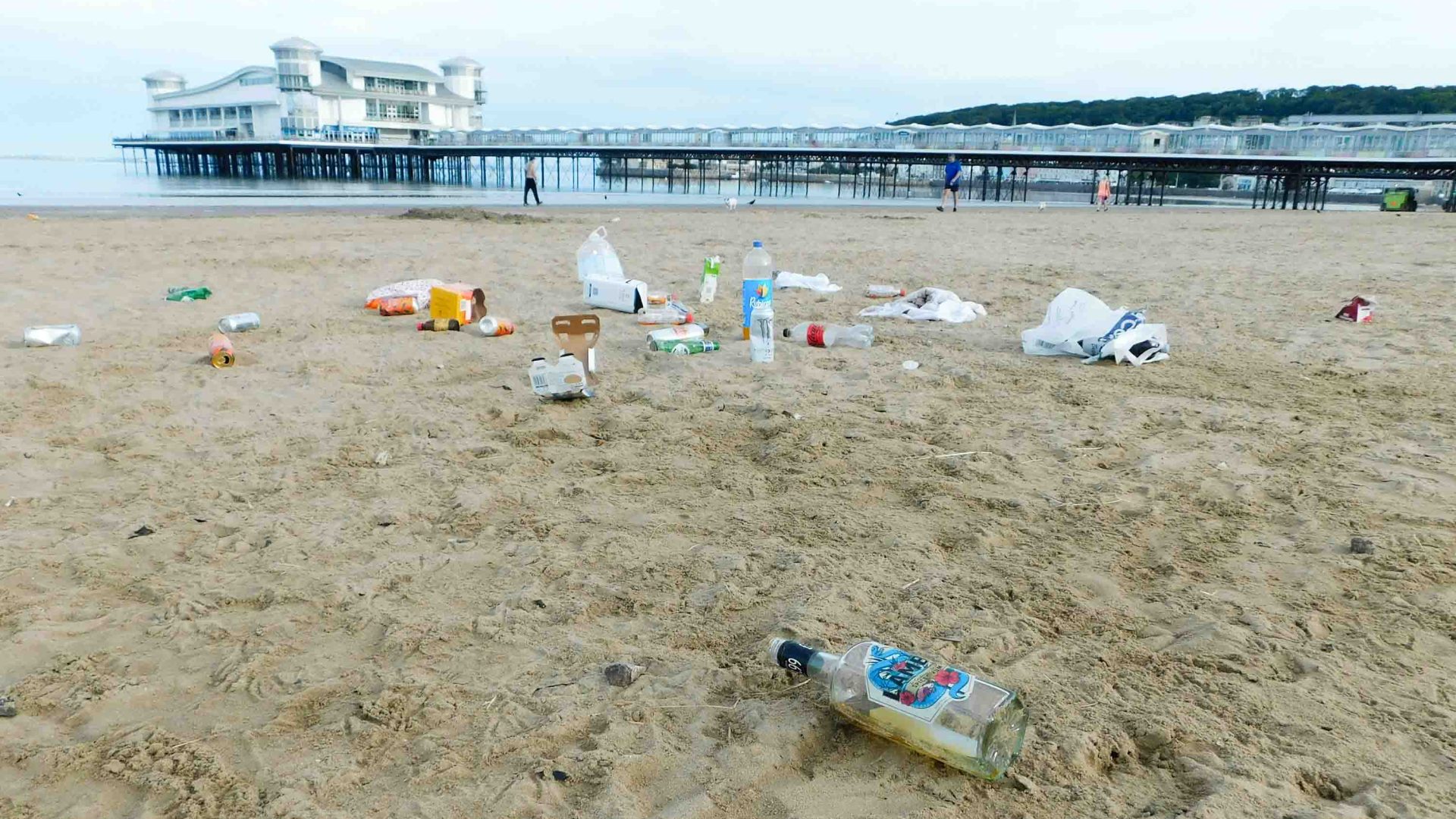 Litter on a beach with a pier in the background