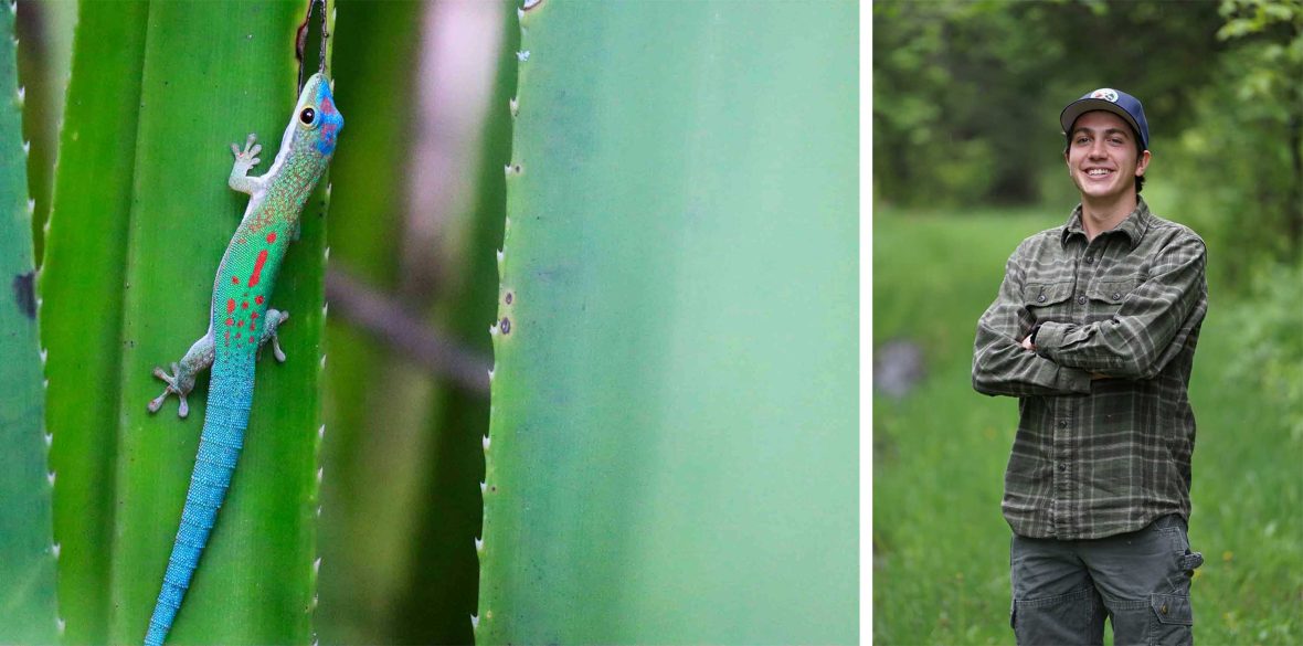 Left: A gecko on a leaf. Right: A portrait of a man in green in a forest setting. He has his arms crossed.