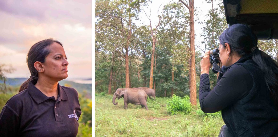 Left: A portrait of a woman in a forest looking away. Right: A woman with binoculars looks at elephants from a vehicle.