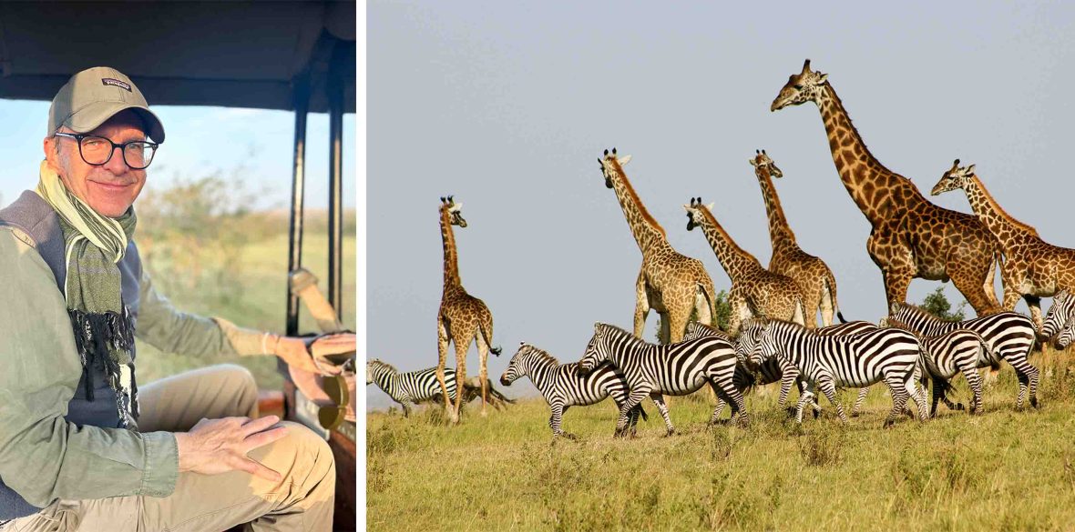 Left: A man sits on top of a safari vehicle. Right: A herd of zebras and giraffes run through grass.