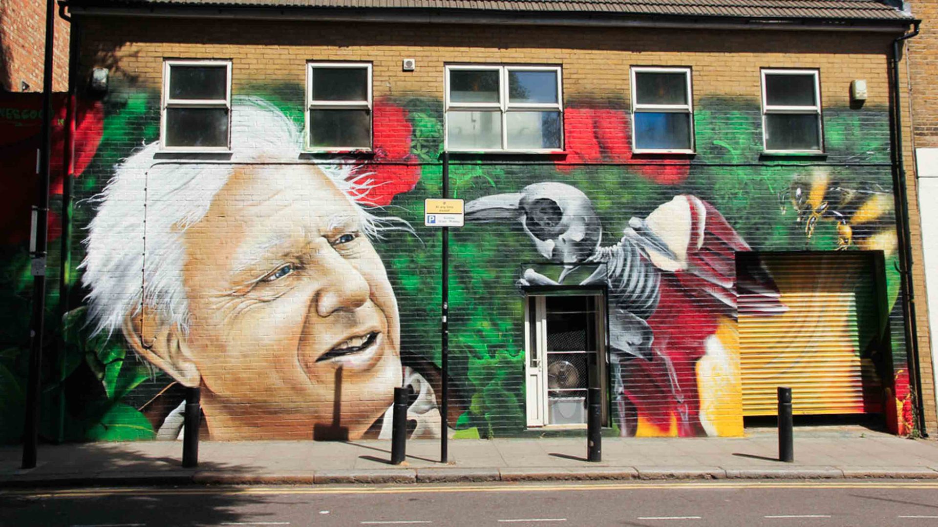 The world’s greatest naturalist turns 100: 10 people on working with Sir David Attenborough