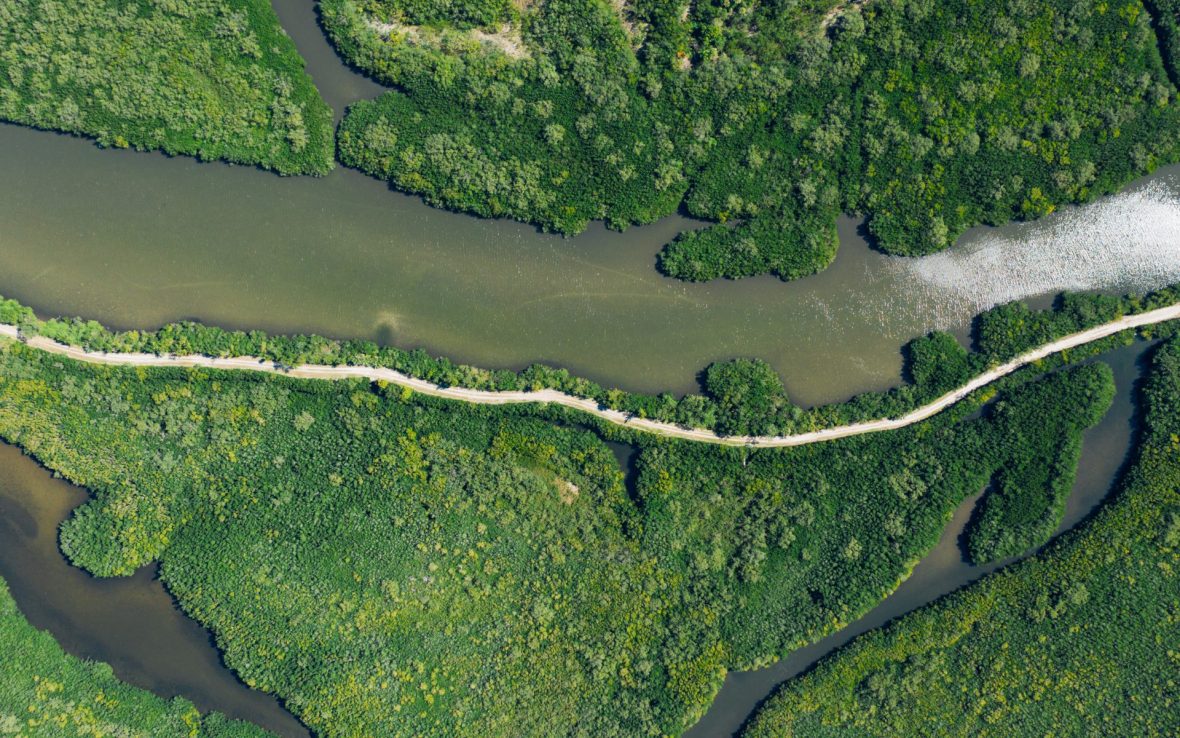 You can now write with a typeface that was designed by humans and shaped by the Amazon River