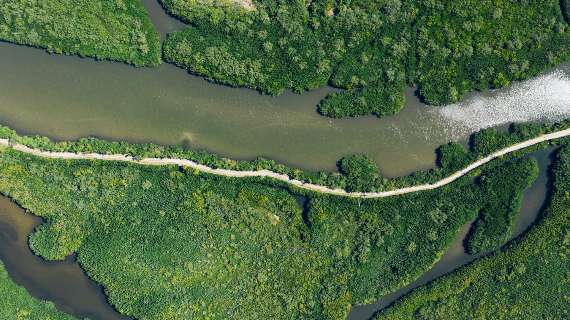 You can now write with a typeface that was designed by humans and shaped by the Amazon River