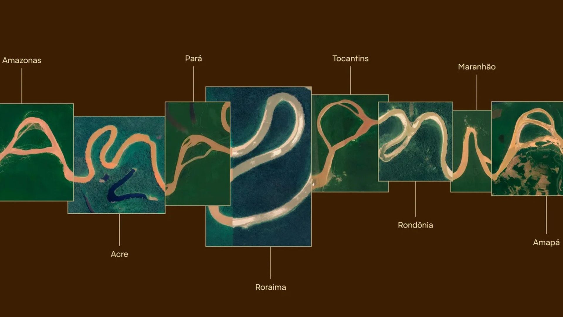 You can now write with a typeface that was designed by humans and shaped by the Amazon River