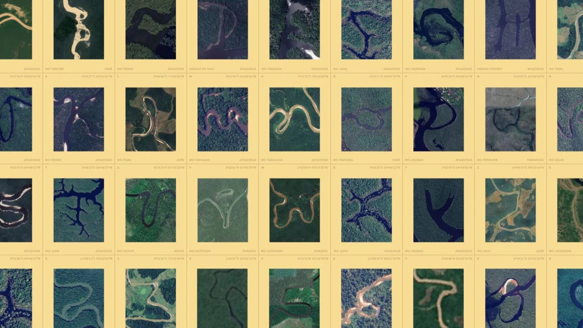 You can now write with a typeface that was designed by humans and shaped by the Amazon River