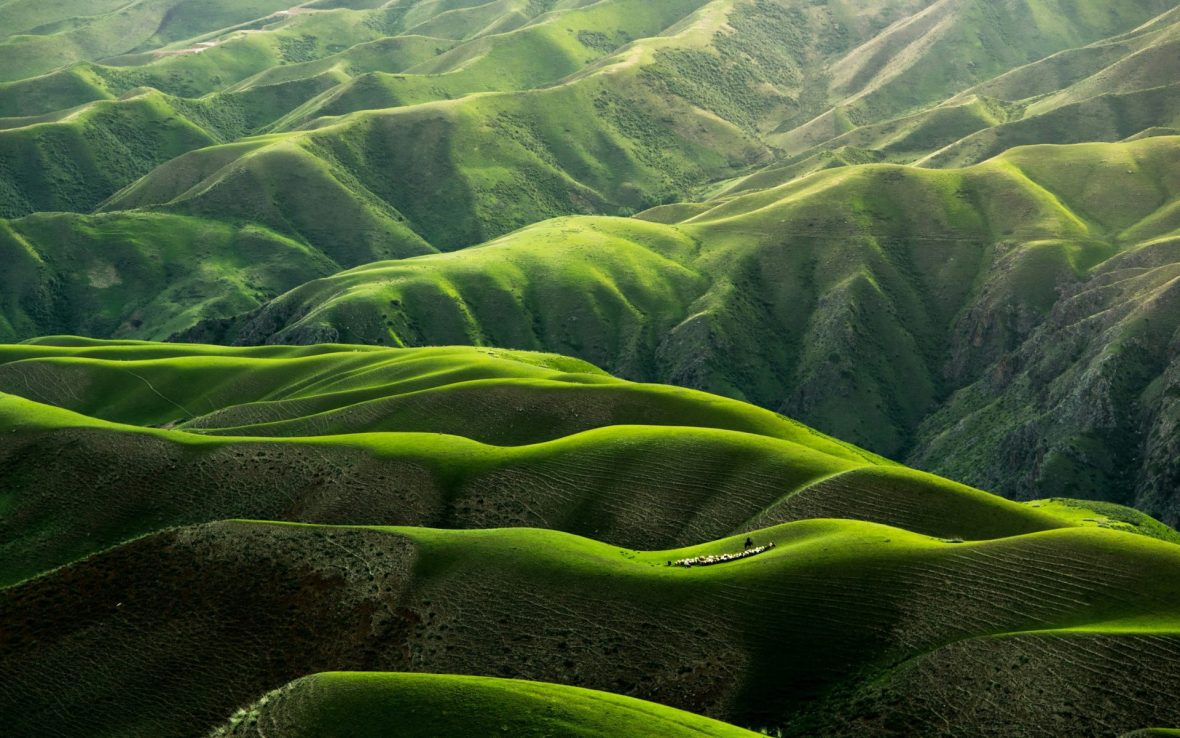 13 reasons to feel hopeful this Earth Day, according to changemakers, activists and scientists