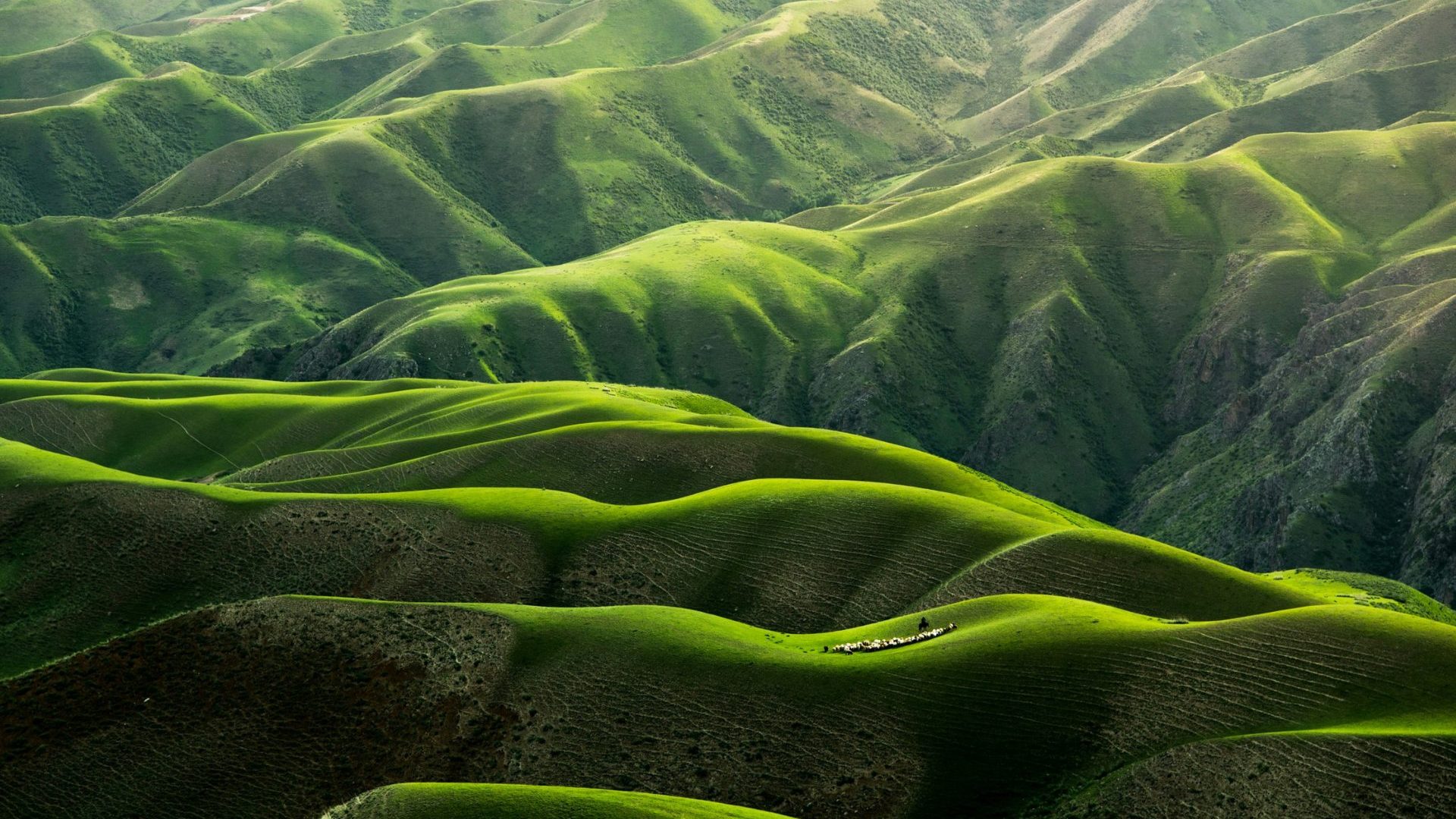 13 reasons to feel hopeful this Earth Day, according to changemakers, activists and scientists