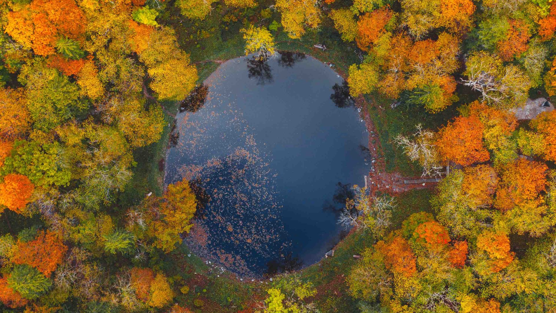 A drone photo of a crater surrounded by orange and yellow fall foliage.