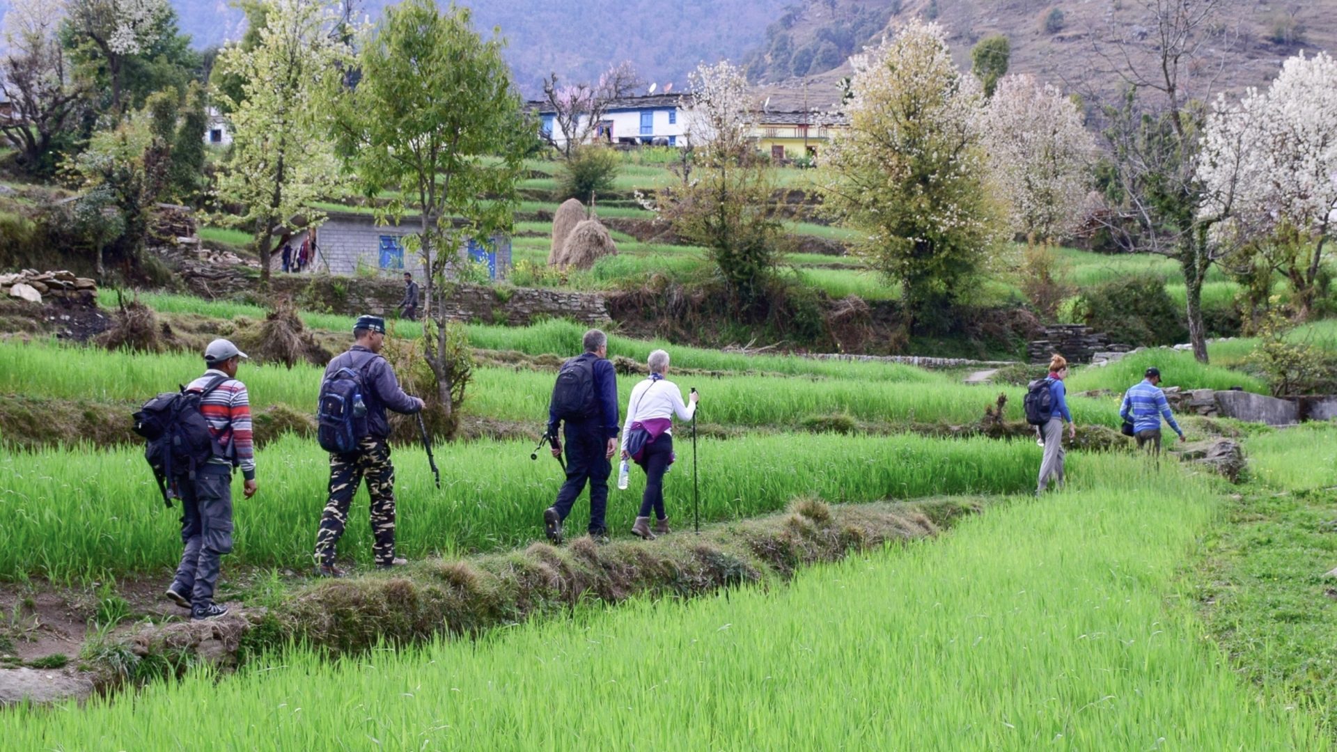 A group of tourists walk through verdant green fields towards a village.