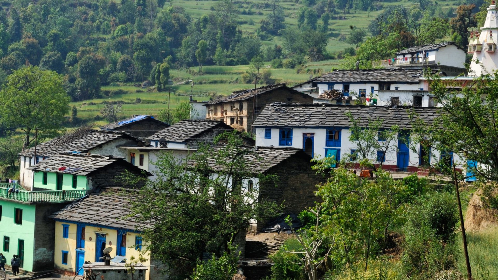 A group of traditional houses on a forested hillside