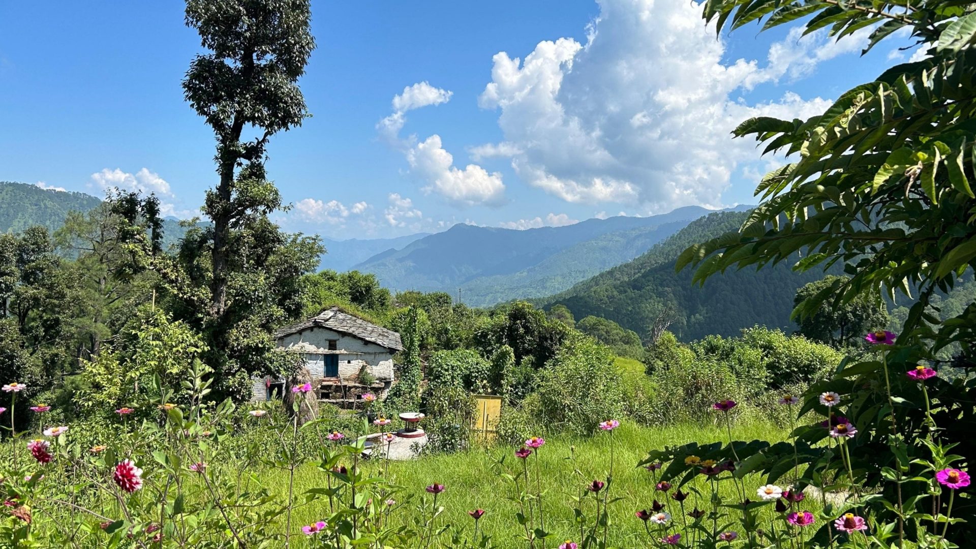 A house sits tucked amongst flowers, trees and mountains.