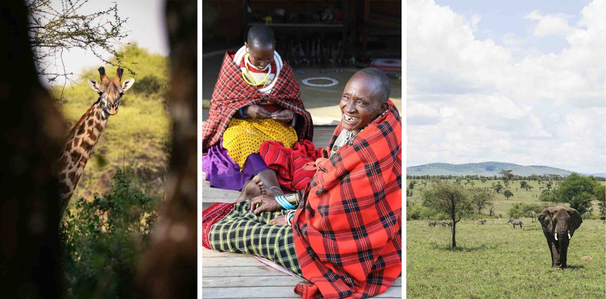 Left: A giraffe is seen through a door. Middle: Two women sit on the ground and bead. One smiles widely at the camera. Right: An elephant walks toward the camera over green grass.