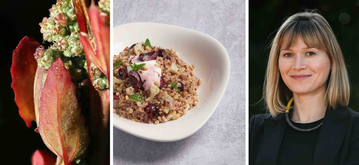 Left: A red quinoa flower. Middle: A bowl of Quinoa Right: A headshot of a woman with a bob and thick necklace.