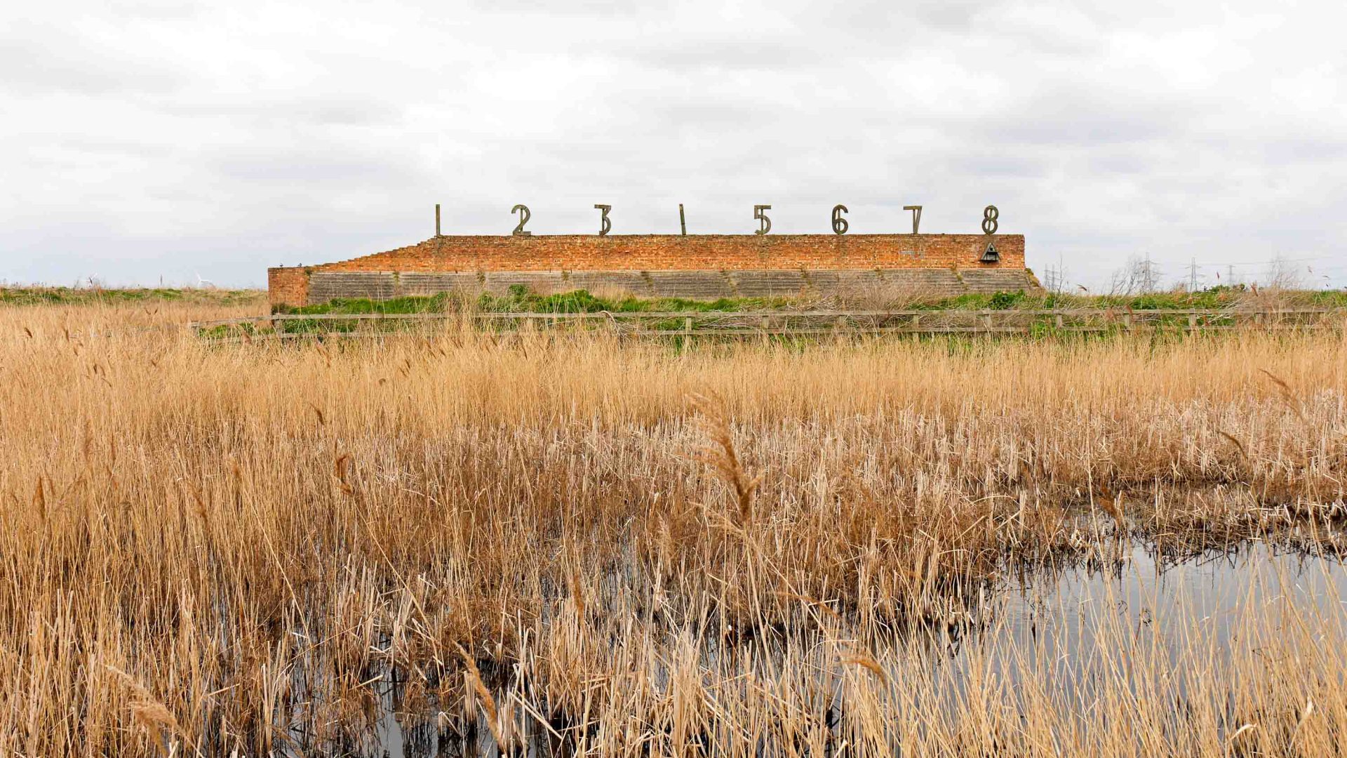 A rifle range made of brick sits in a marshy area with dried reeds.