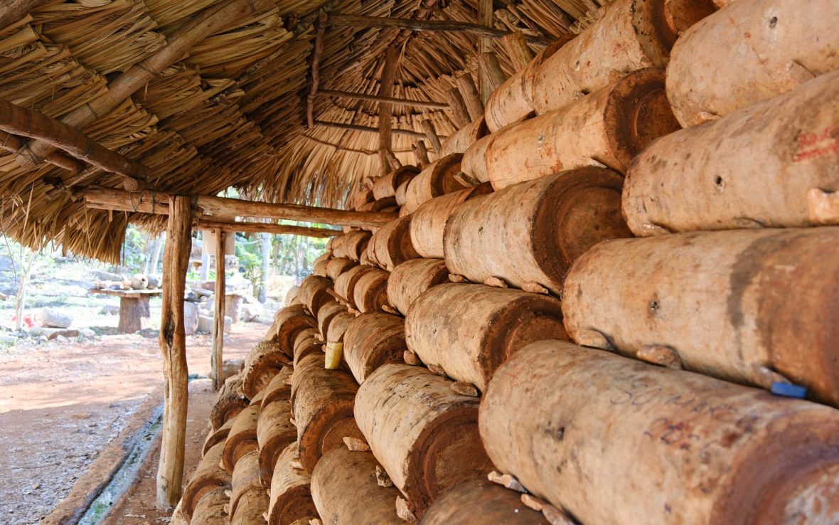 Cedar or guano palm tree trunks, hollowed out to form a cylindrical home for the bees, are stacked on top of each other in a pyramid and sheltered beneath a guano palm-leaf roof.