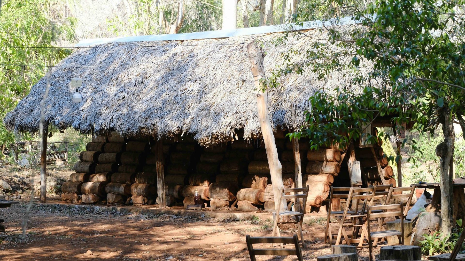 A thatched structure with a series of stacked logs below