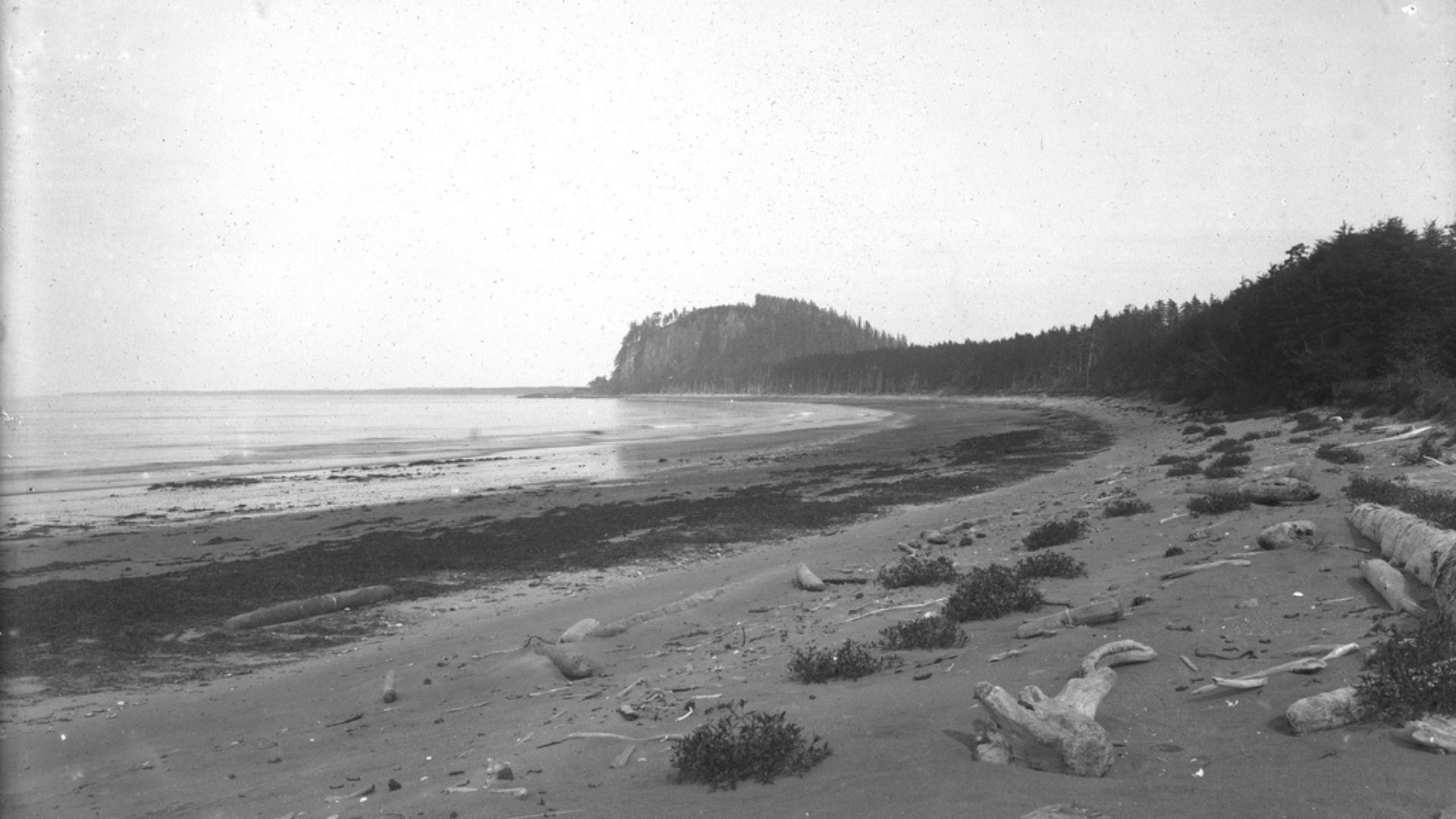 Black and white photograph of beach.