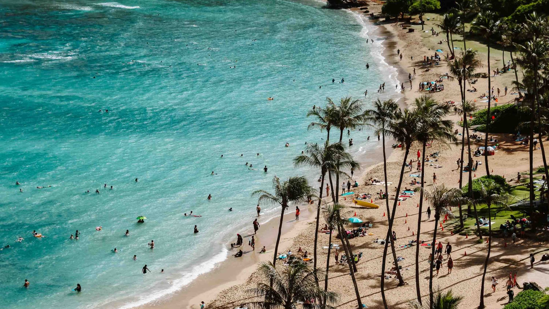 Tourists on a beach framed with palm trees.