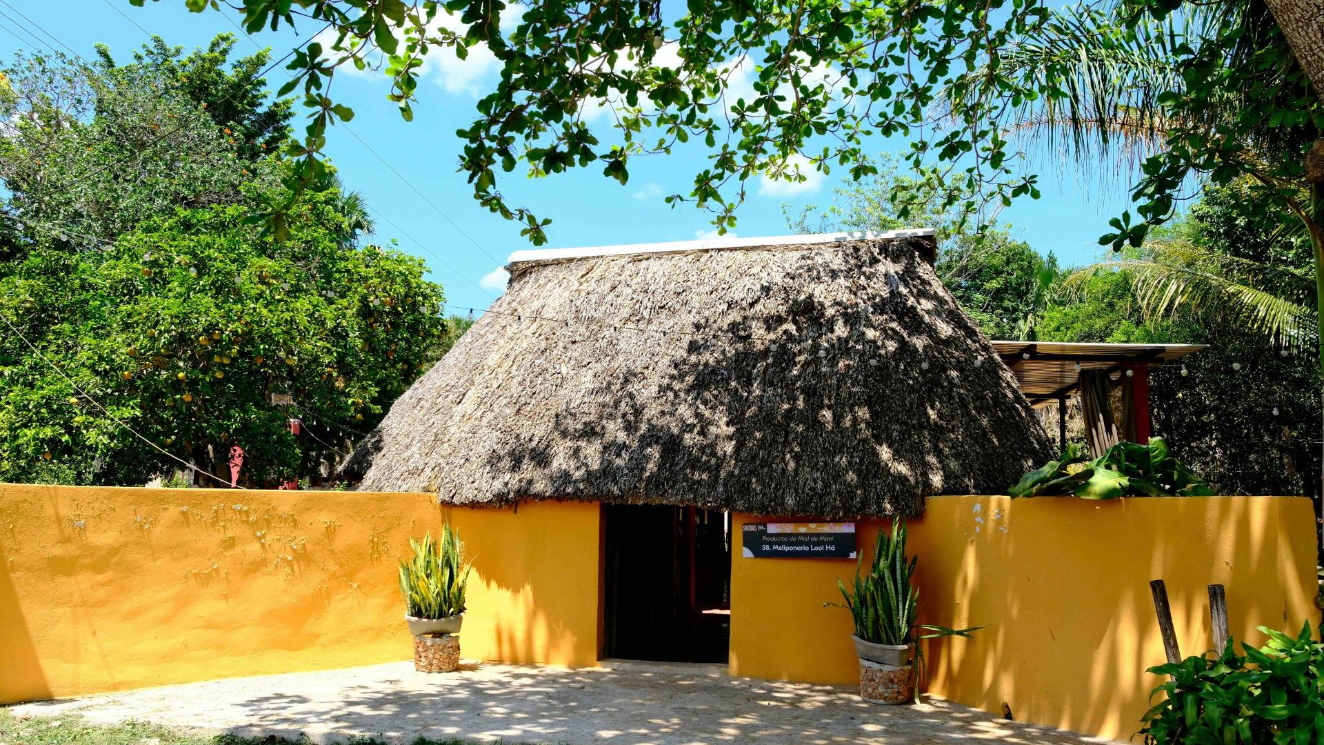 A thatched roof and yellow walls against a blue sky