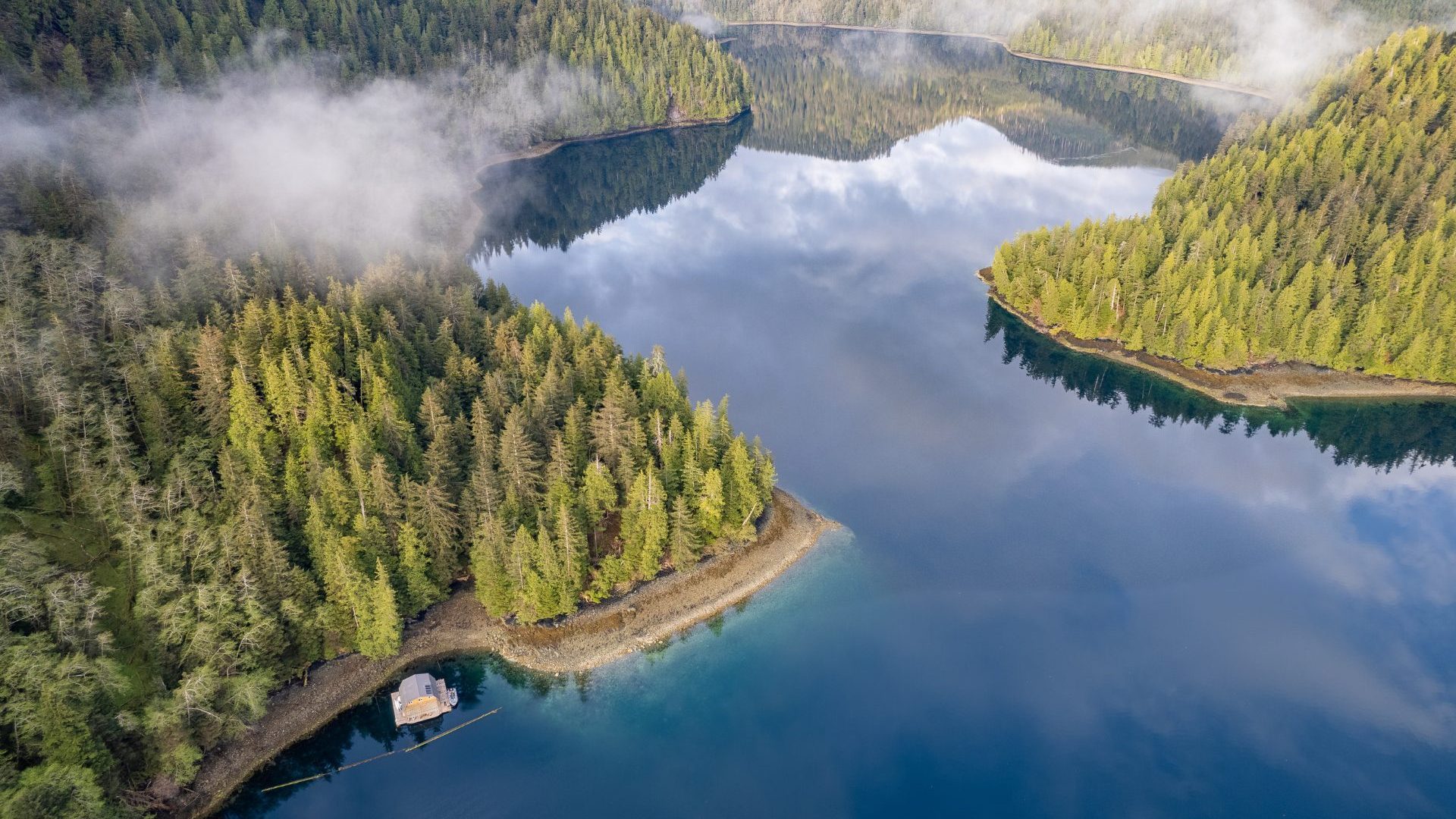 Green forest islands and blue water