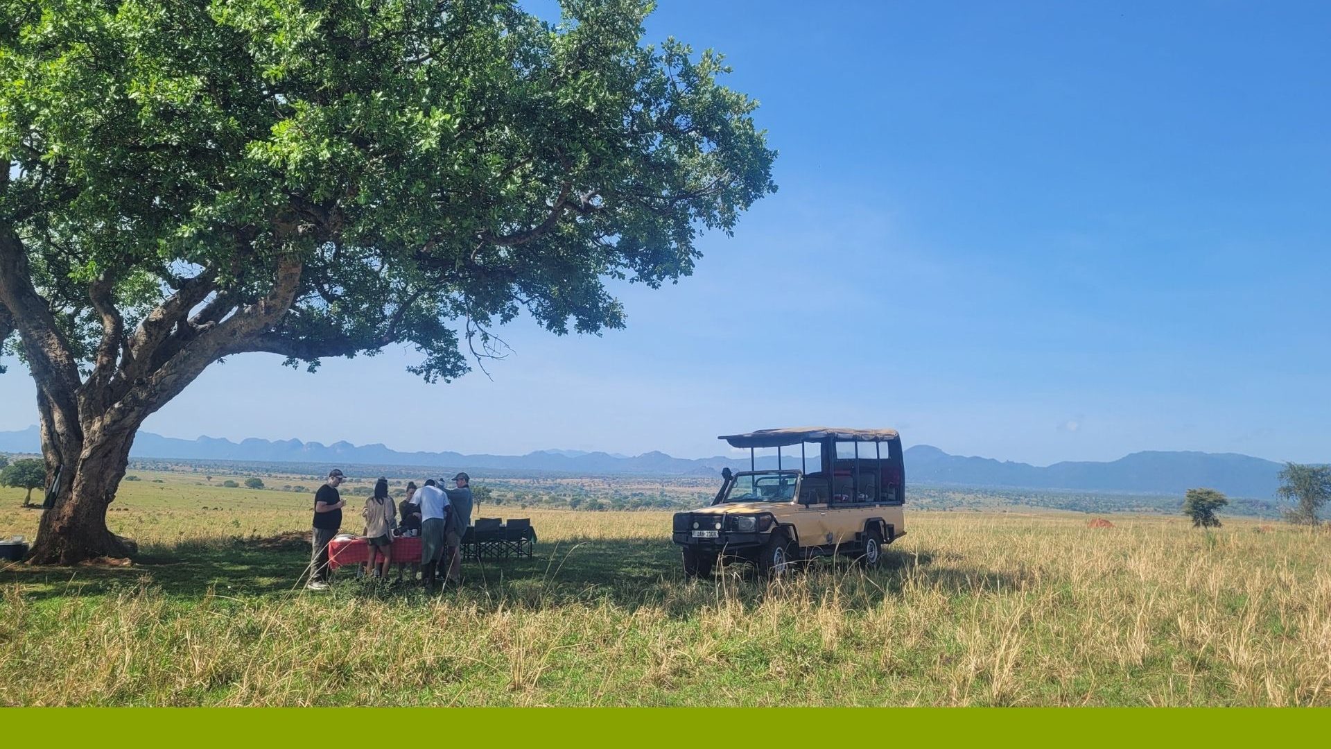 Travelers take a break by their jeep under the shade of a tree.