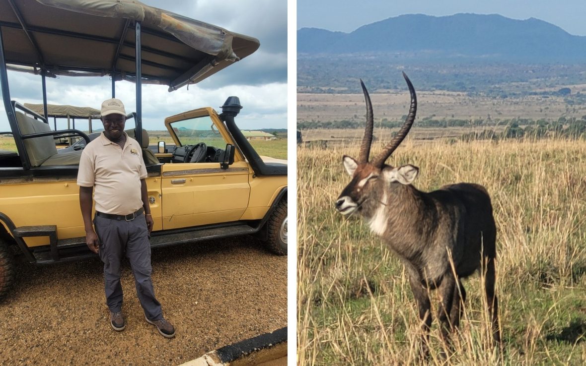 Left: A safari guide stands by their jeep; Right: A large antelope, eland, against the backdrop of Kidepo's savannah landscape