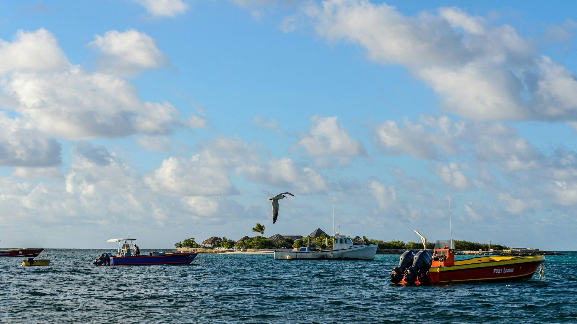 Fishing boats on water.