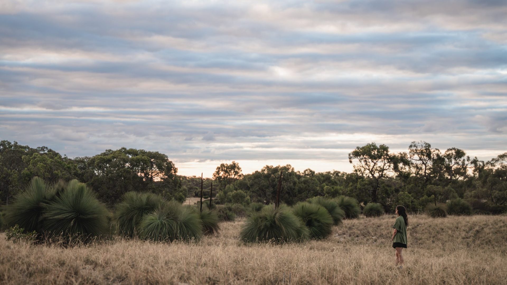 Woman stands in golden field.
