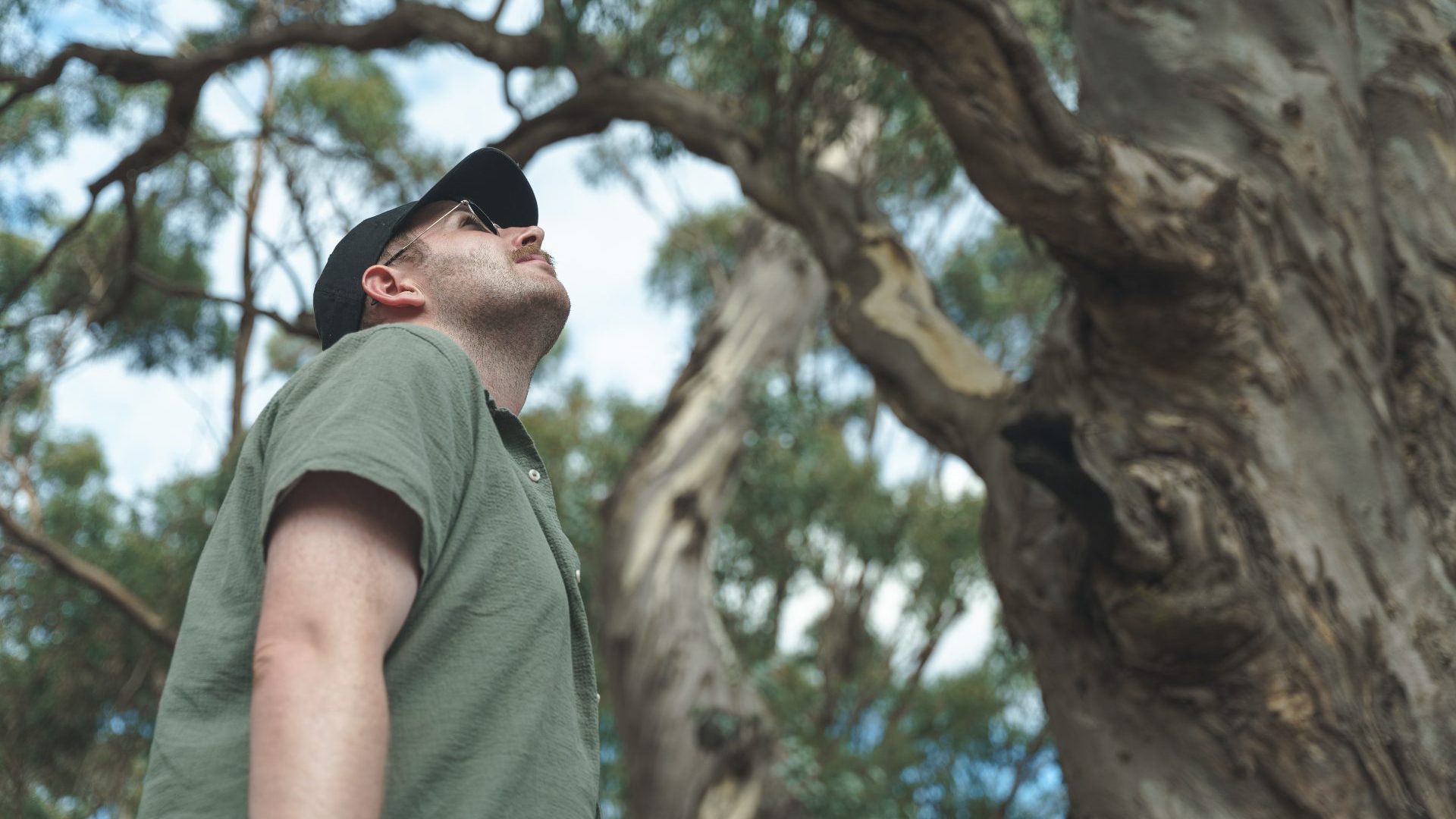 Man wearing green shirt looks up at tree.