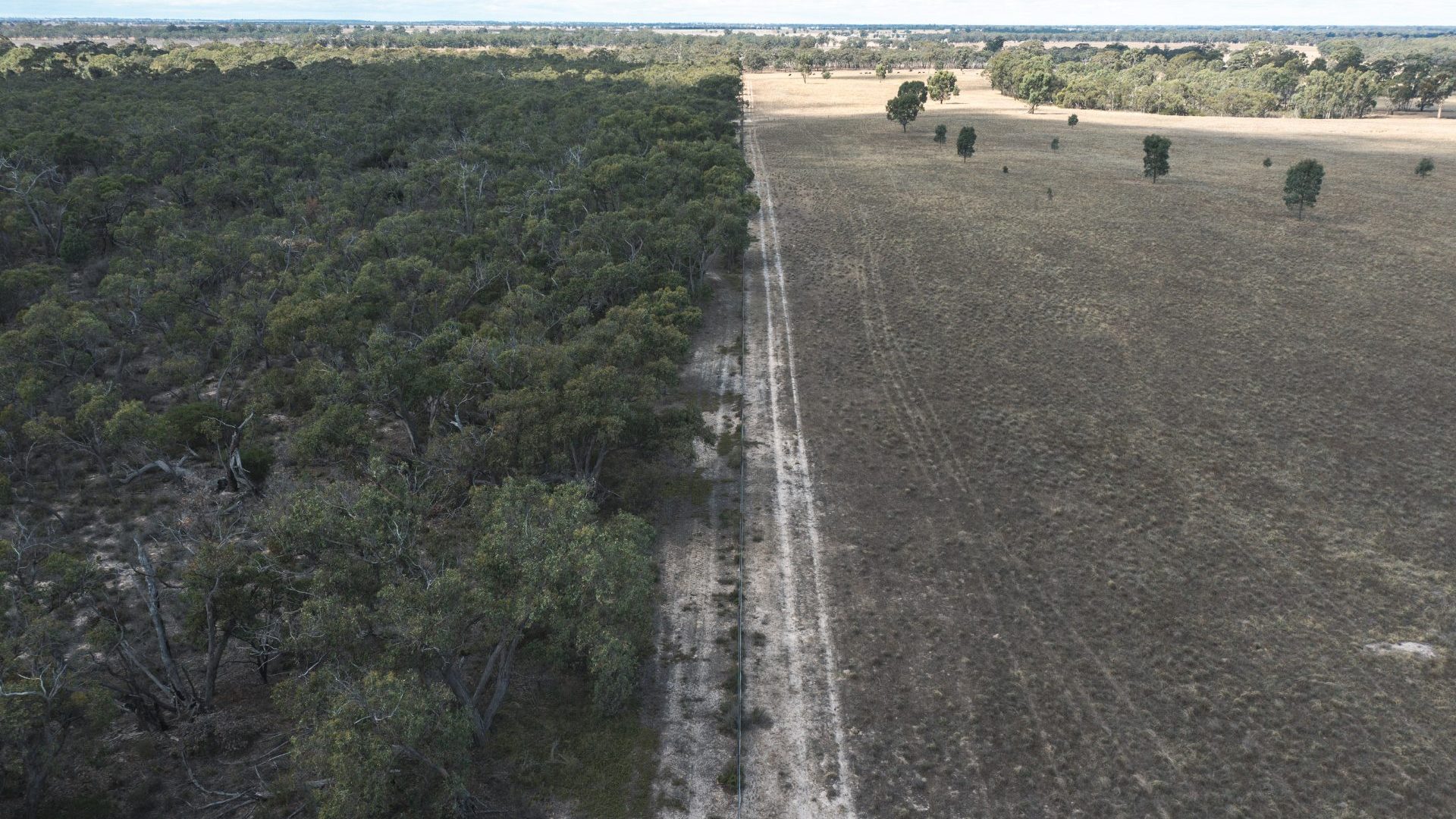 A birds-eye view of landscape with fence down middle. On left side is green growth, on right side is cleared land.