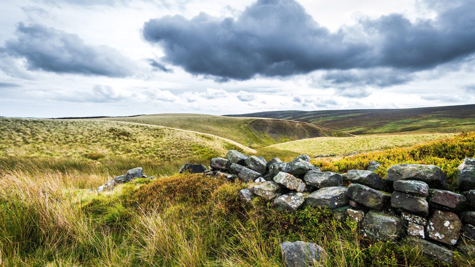 Green fields with a stone fence.