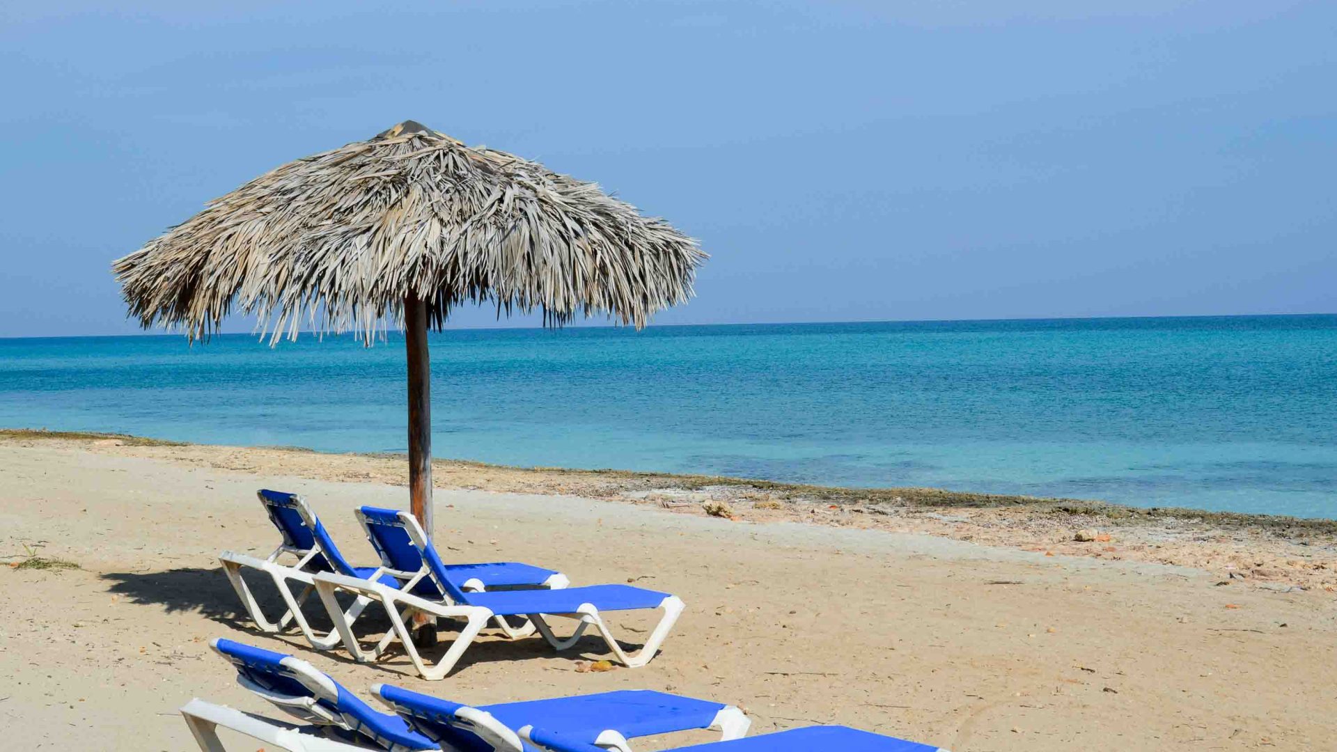 Empty beach chairs at a white sand beach.