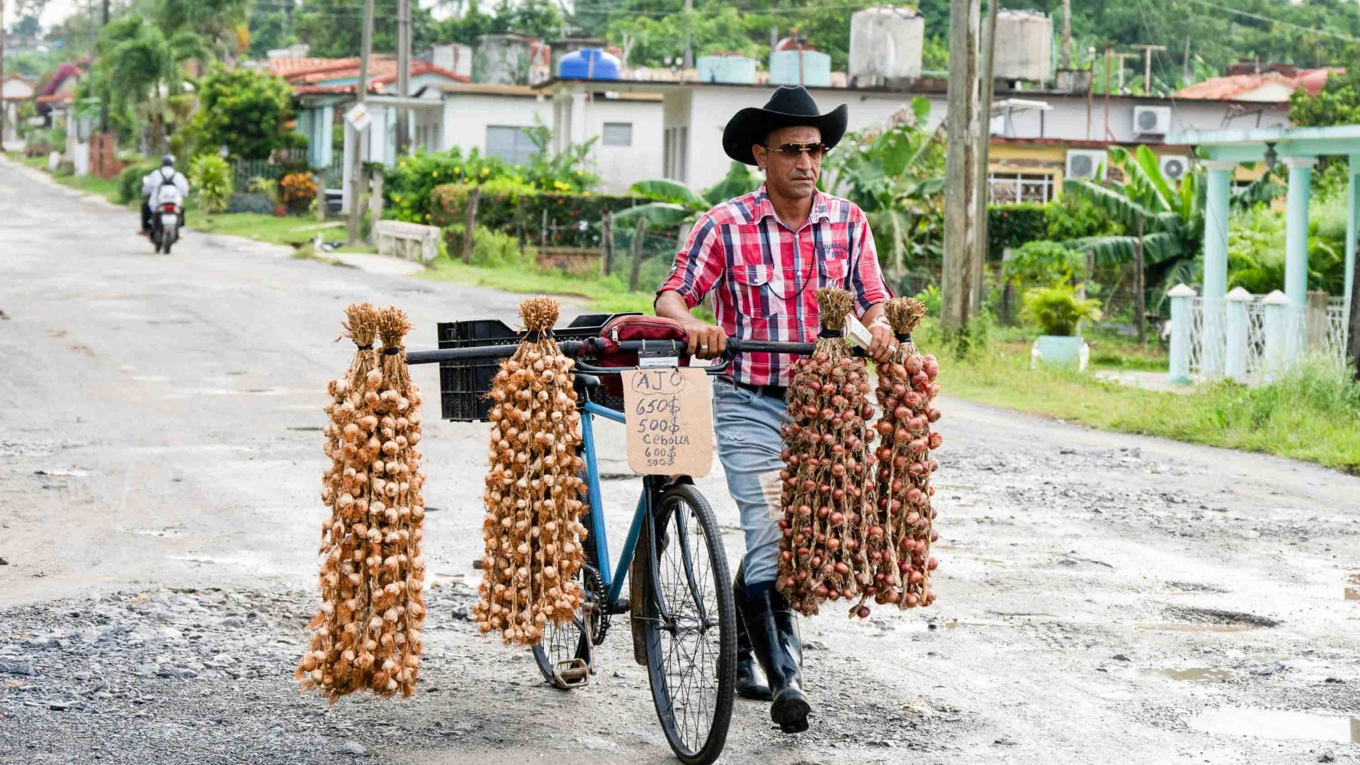 A man sells garlic from his bicycle.