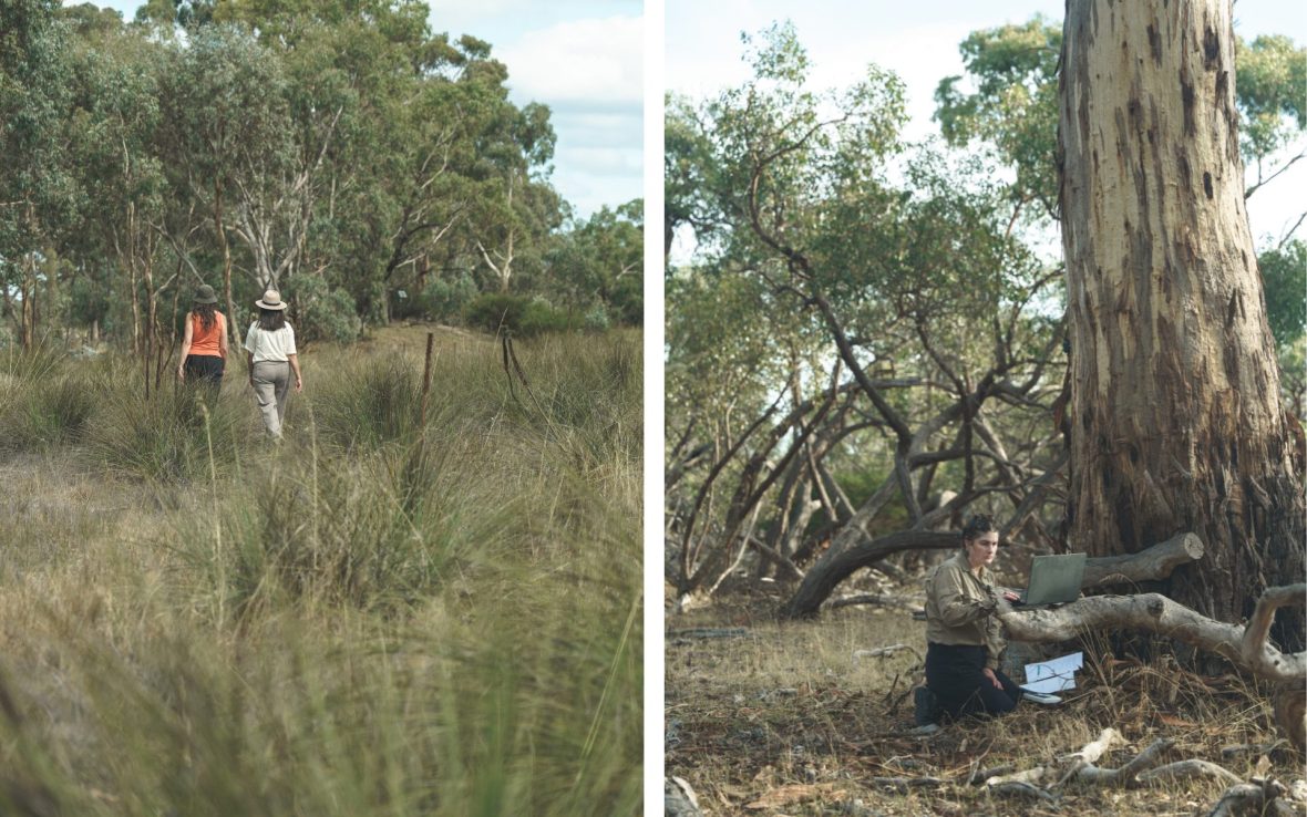 Left: Two women walk through tall grasses; Right: A woman with laptop sits below eucalyptus tree.
