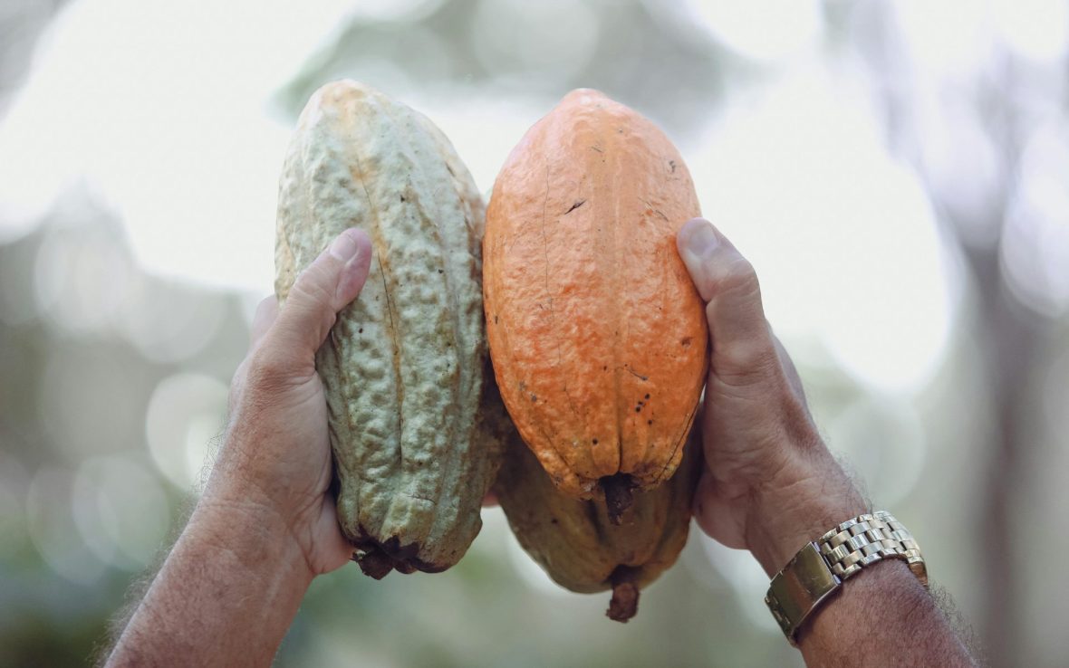 When we think of chocolate, why do we never think of Honduras?