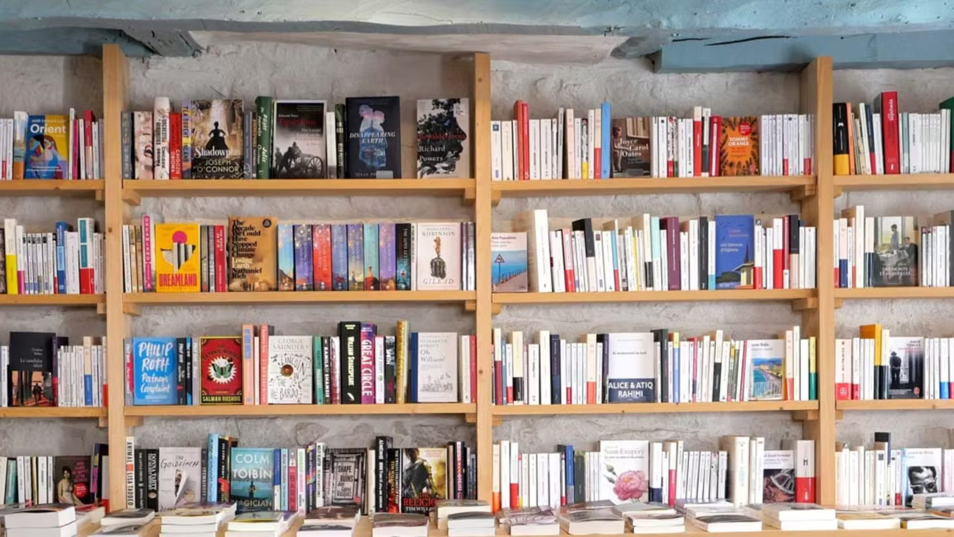 Bookshelves filled with books.