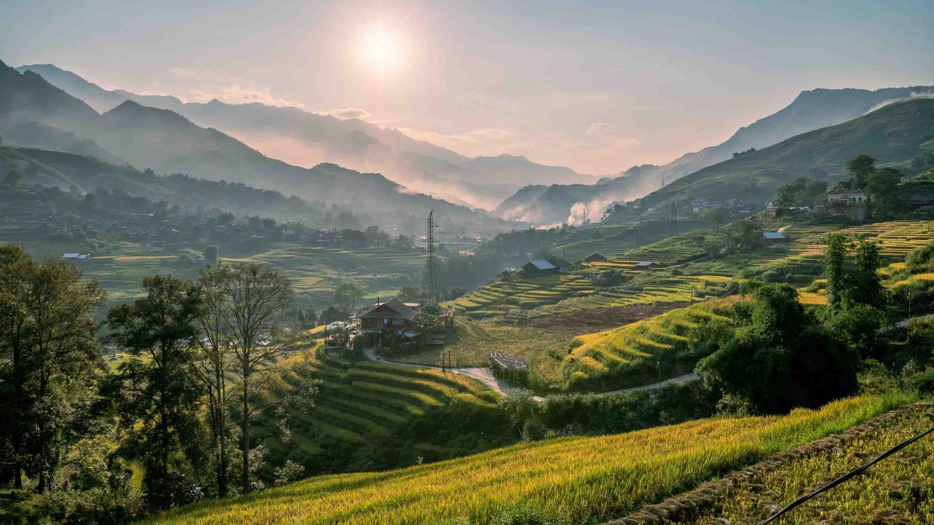 Hills and rice fields in low sun light.