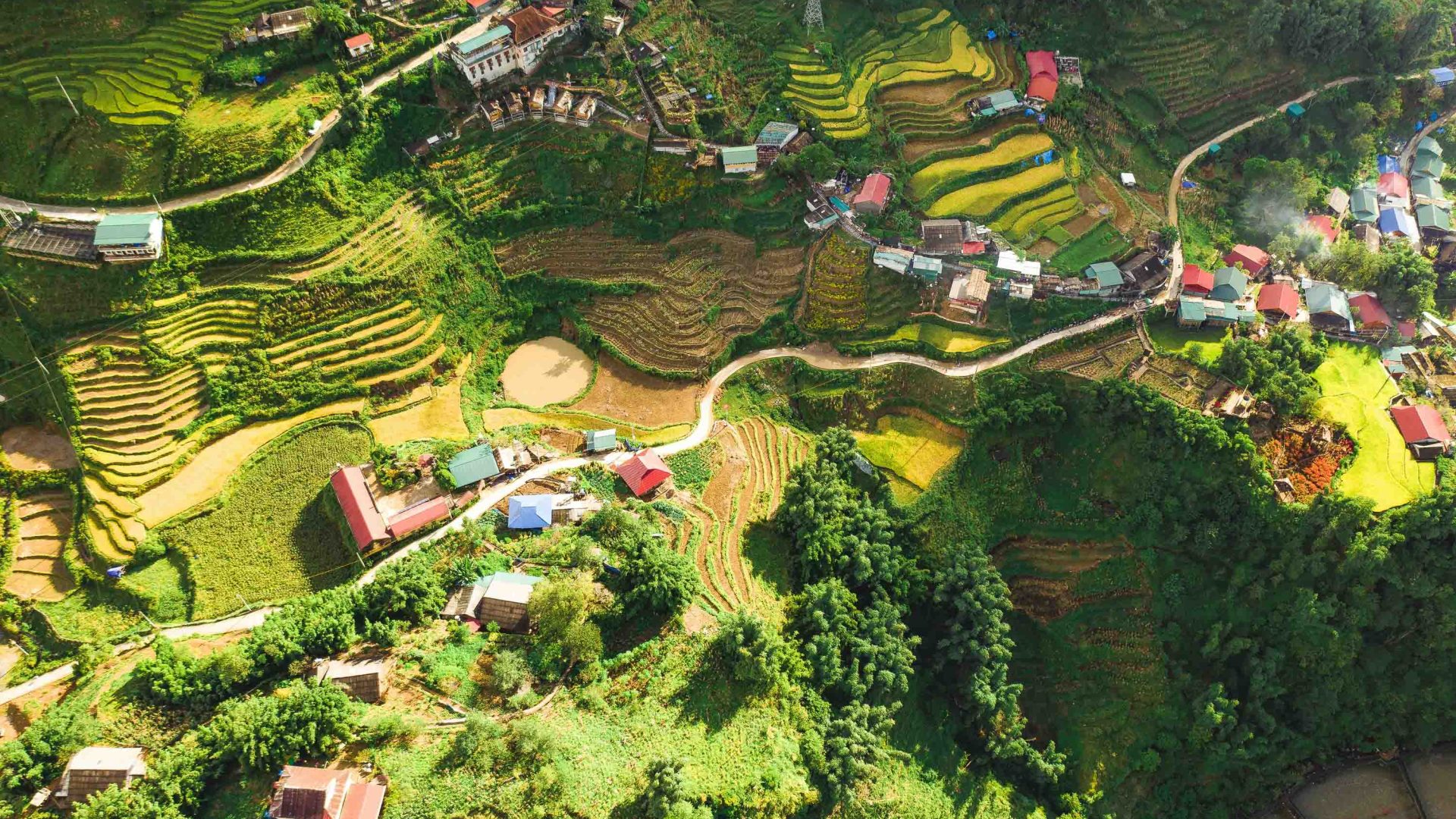 A drone photo of villages in amongst rice fields.