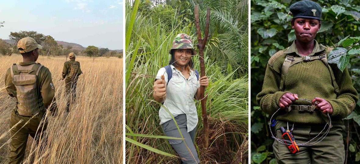 Left: Two female rangers walk through long brown grass. Middle: A woman in a har holds a stick and smiles in a forest setting. Right: A woman in green ranger clothes looks sternly to camera. She is in a forest.