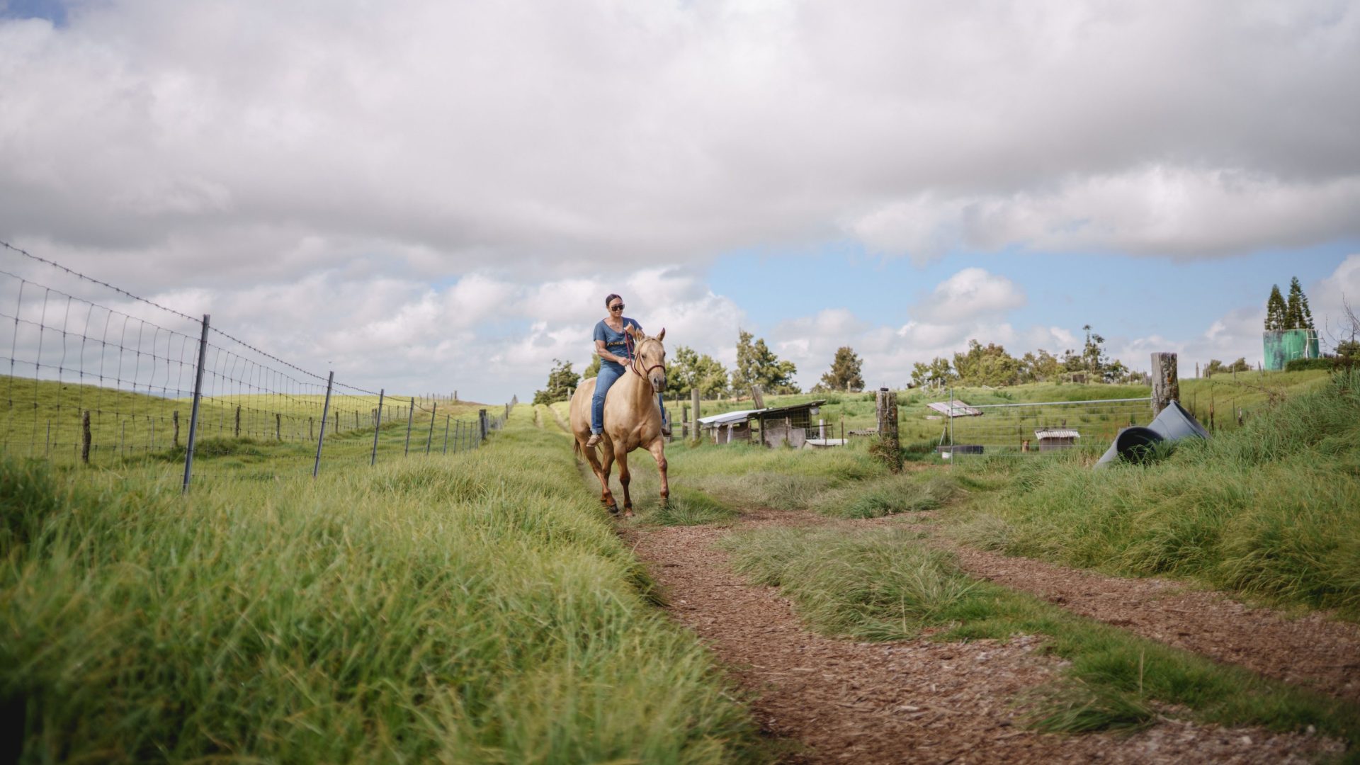 Woman rides golden-colored horse.