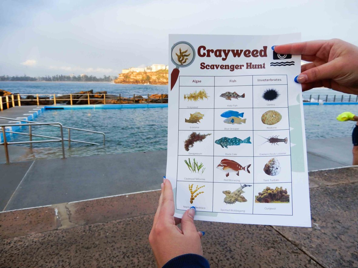 A hand holds up a scavenger hunt sheet showing a range of marine animals.