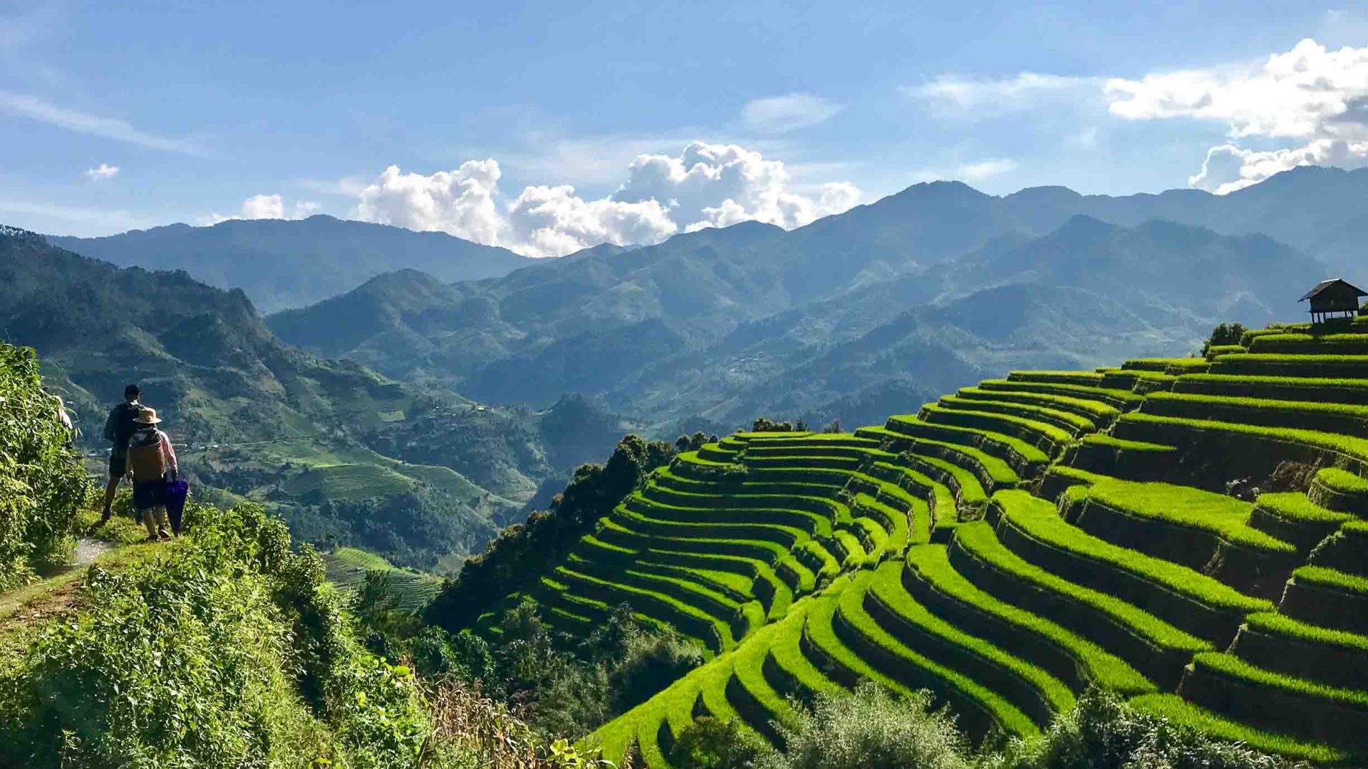 Vietnam’s Highlander communities built Vietnam’s iconic rice terraces. Could they now lose the right to guide visitors through them?