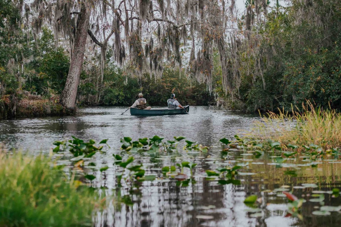 As Trump plans to pull out of UNESCO, this swamp just became one of America’s newest World Heritage sites