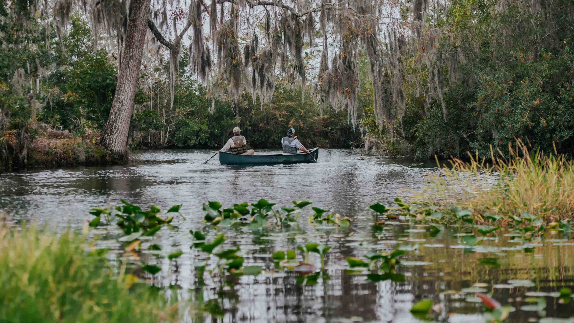As Trump plans to pull out of UNESCO, this swamp just became one of America’s newest World Heritage sites